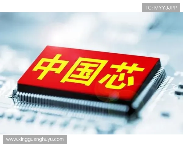 国家队鏖战国际赛场新生代崛起引领中国体育全面突破关键节点迎来历史机遇